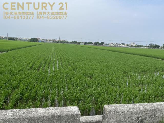 埔鹽近中山路美田(二)