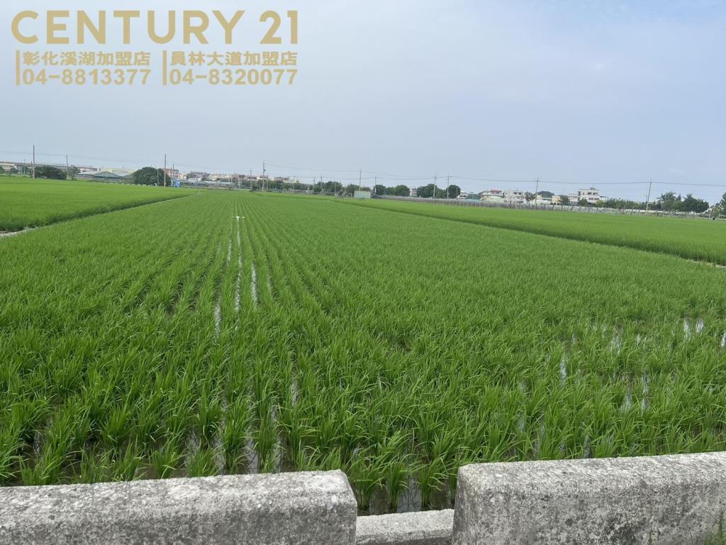 埔鹽近中山路美田(二)