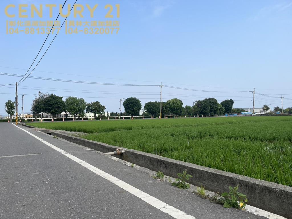 埔鹽近中山路美田(二)
