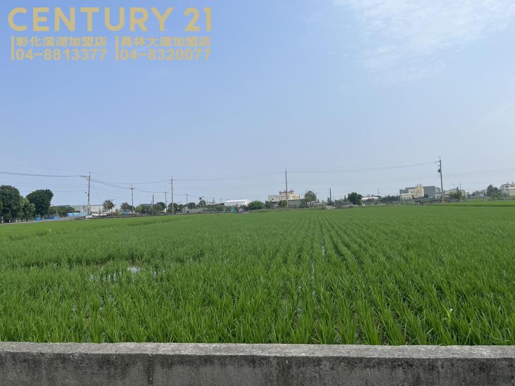 埔鹽近中山路美田(二)