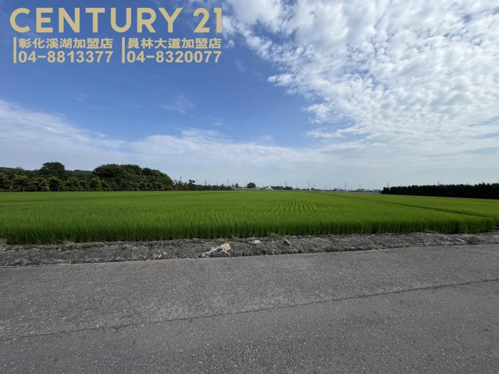 竹塘樹腳村庄內美田