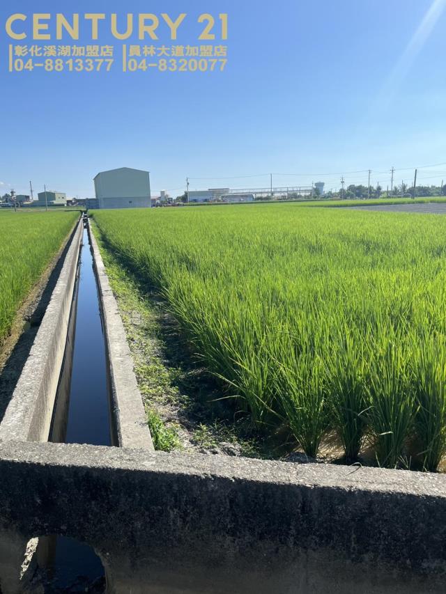 竹塘中央路旁田地