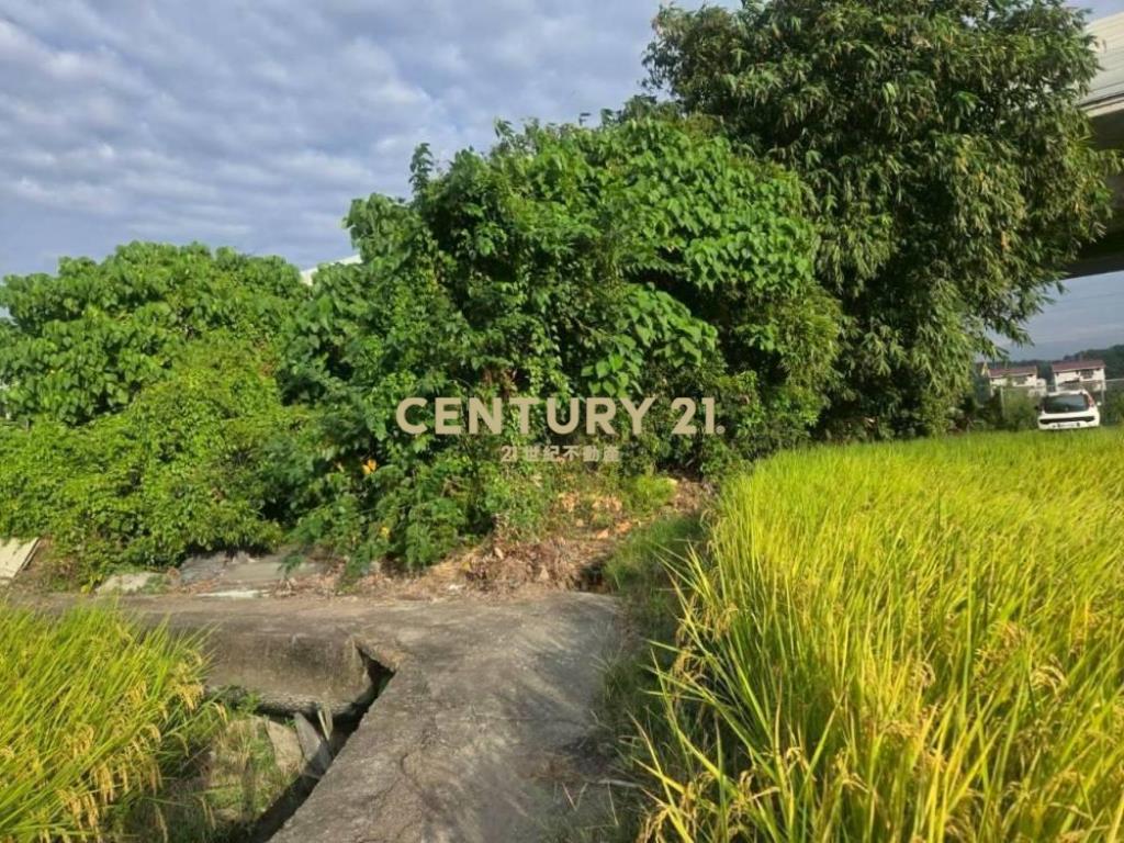 台中土地-霧峰近亞大建地221坪