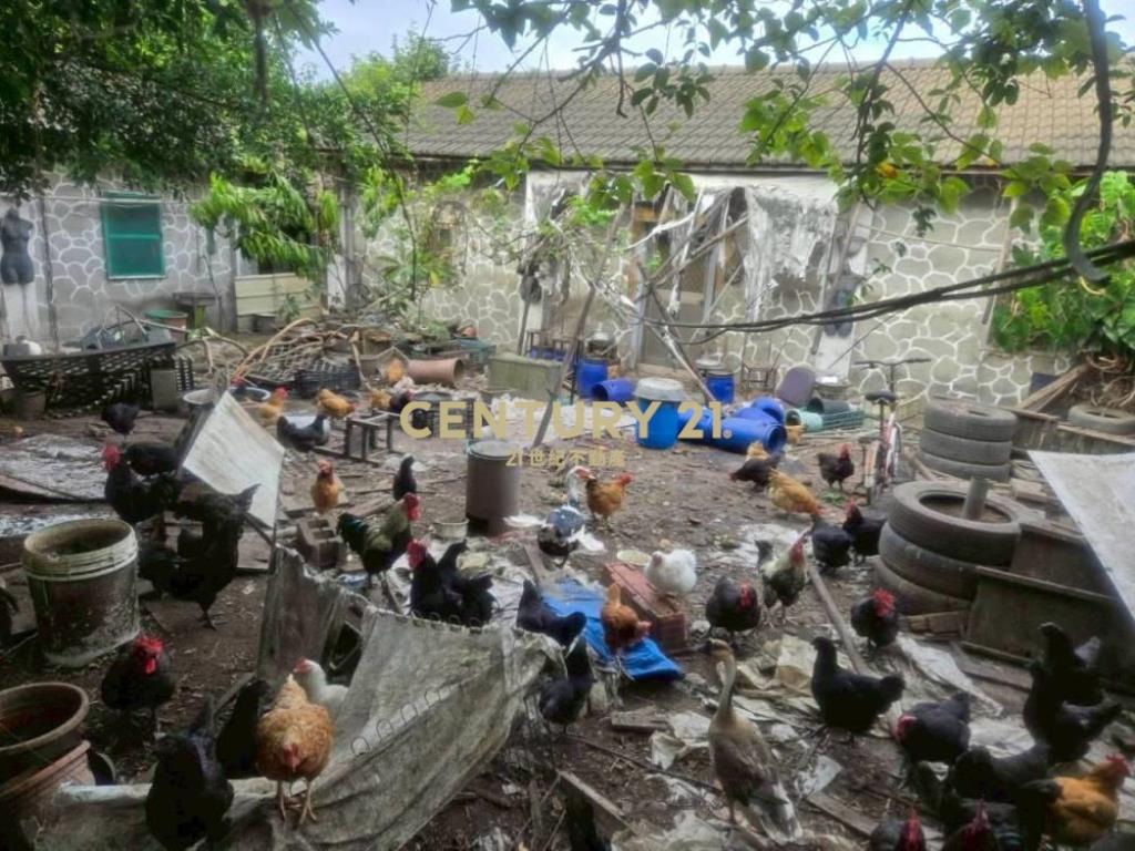 台中土地-霧峰近亞大建地221坪