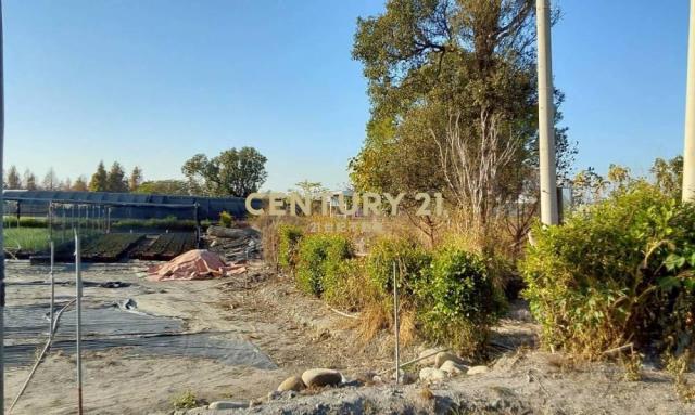 台中土地-后里中社花市邊696坪農地