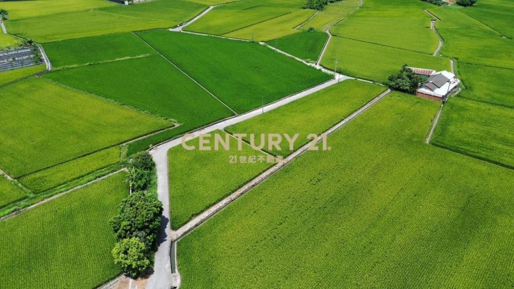 南勢丁台路旁537坪三面路農地