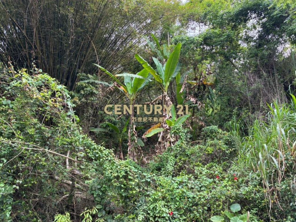 國姓土地-國姓長流1.5甲持分農地