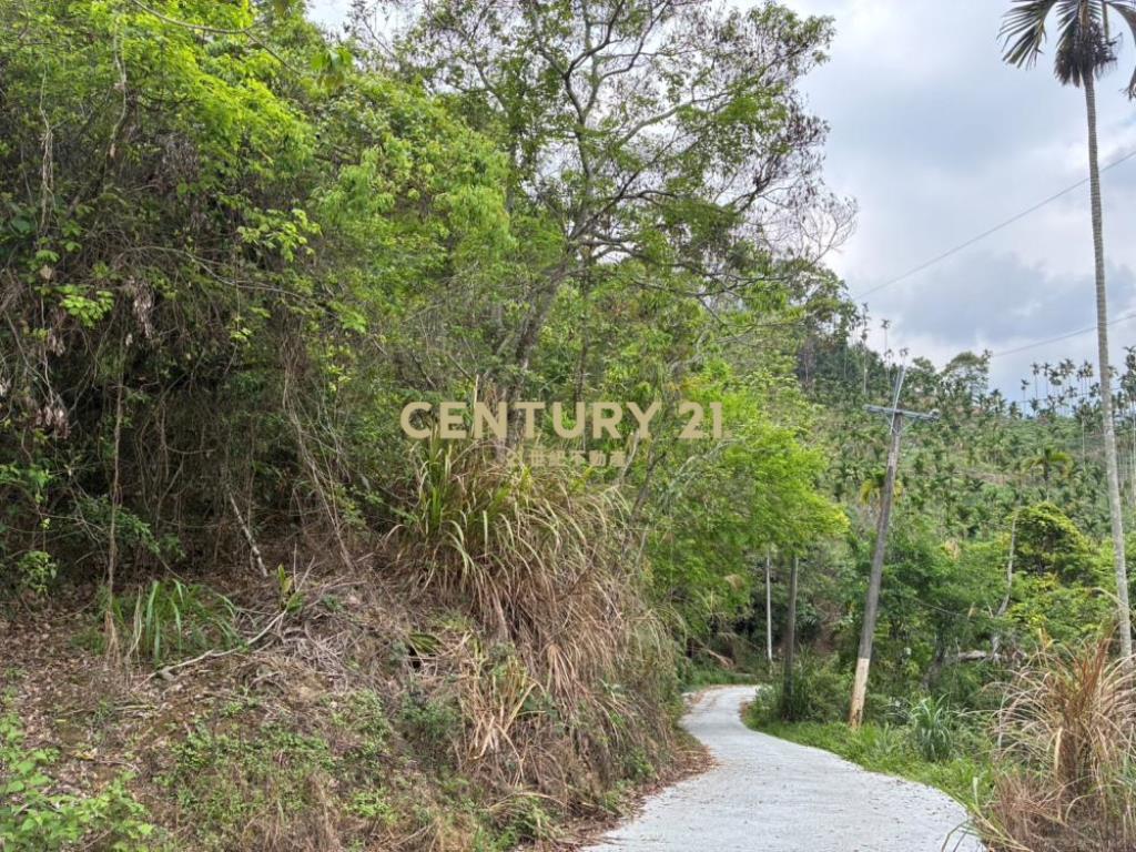 國姓土地-國姓長流1.5甲持分農地