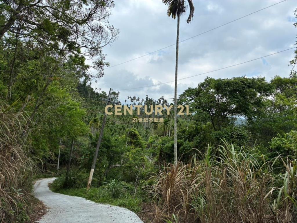 國姓土地-國姓長流1.5甲持分農地
