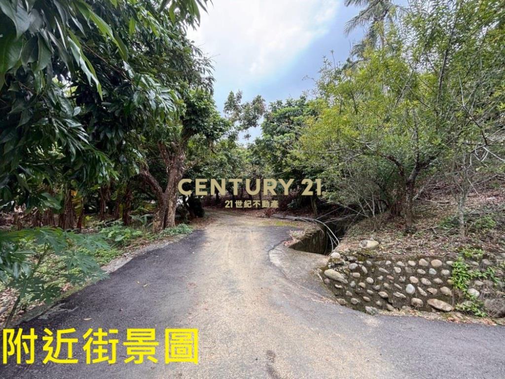 台中土地-霧峰峰谷488坪農地