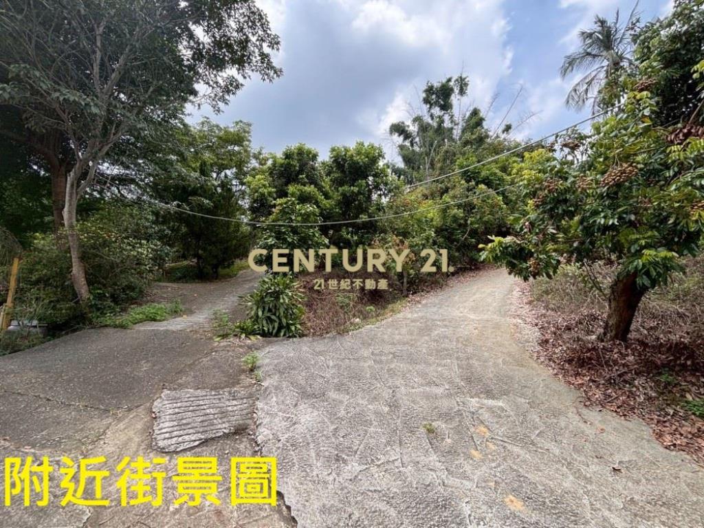 台中土地-霧峰峰谷488坪農地