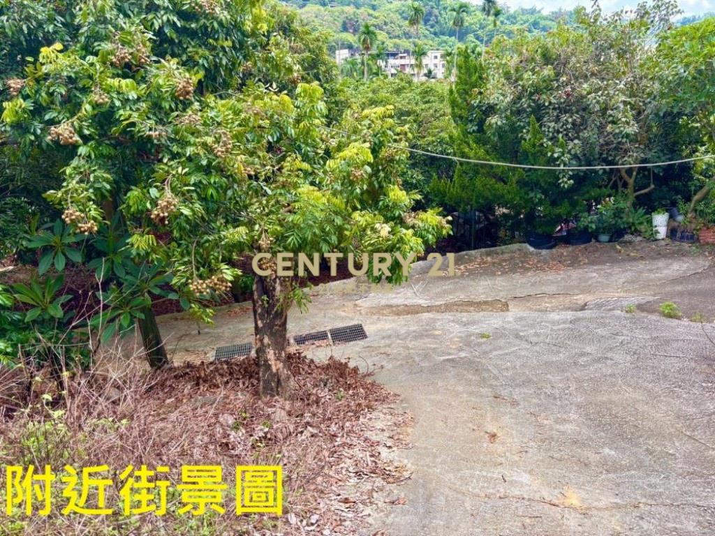 台中土地-霧峰峰谷488坪農地