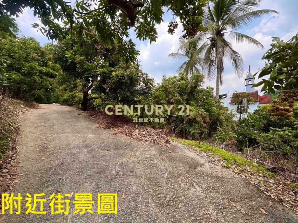 台中土地-霧峰峰谷488坪農地