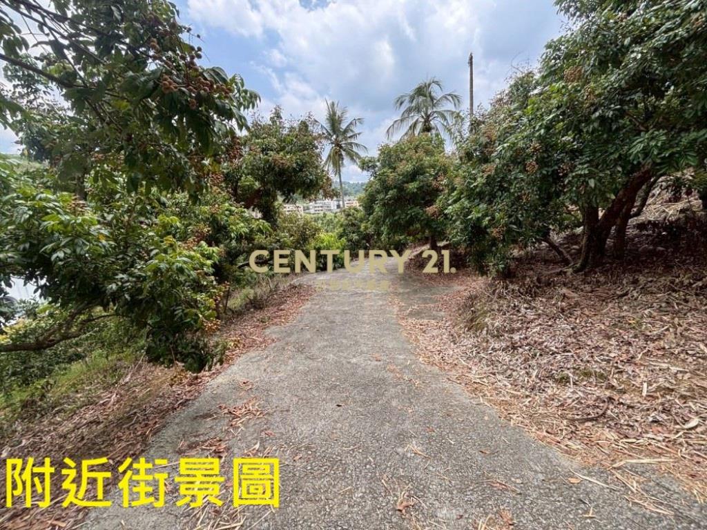 台中土地-霧峰峰谷488坪農地