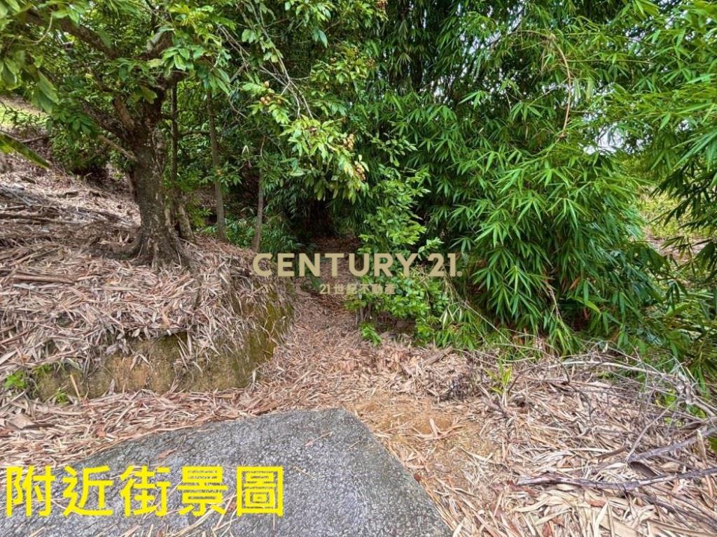 台中土地-霧峰峰谷488坪農地