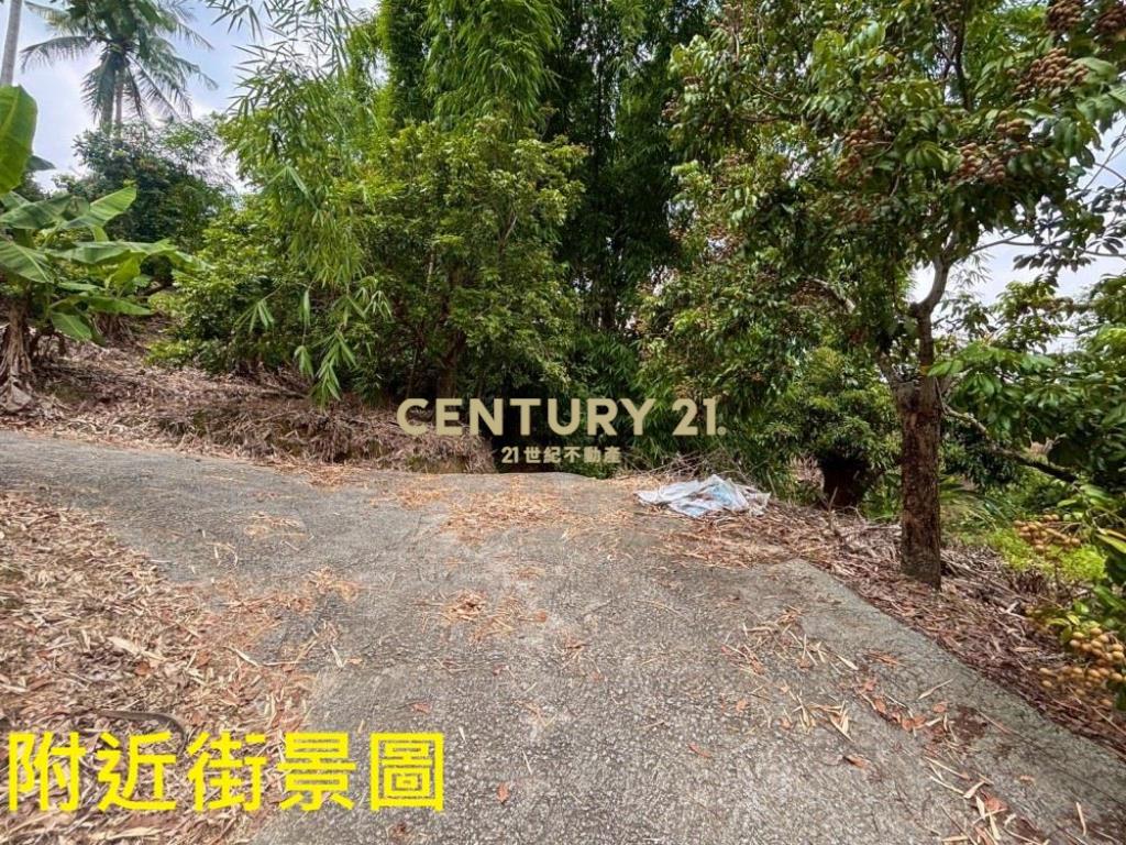 台中土地-霧峰峰谷488坪農地