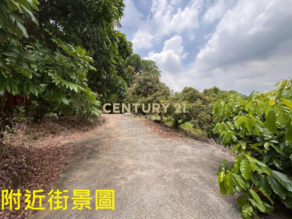 台中土地-霧峰峰谷488坪農地