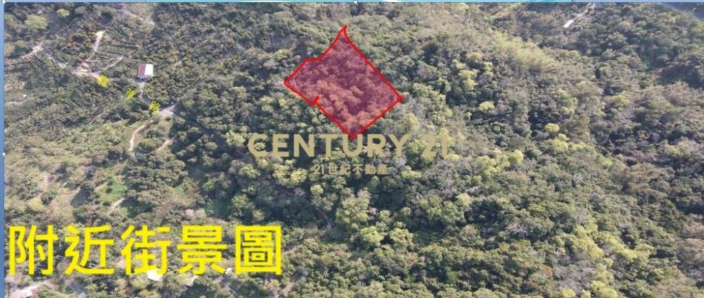 中寮土地-中寮爽文國小旁農地