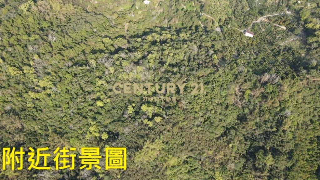 中寮土地-中寮爽文國小旁農地