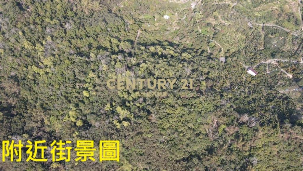 中寮土地-中寮爽文國小旁農地