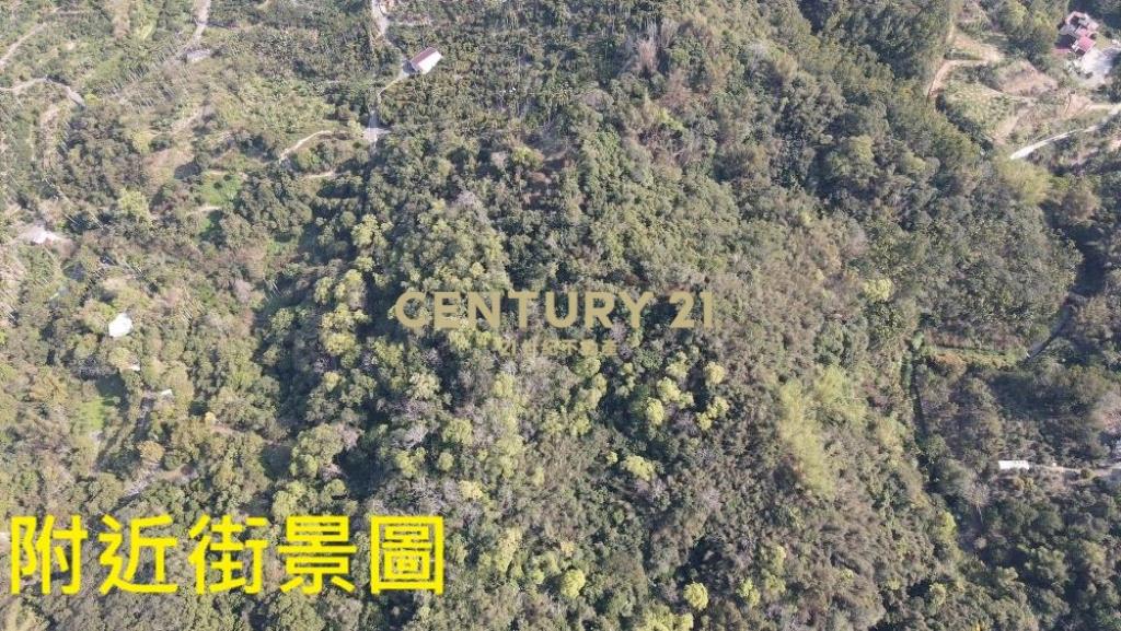 中寮土地-中寮爽文國小旁農地