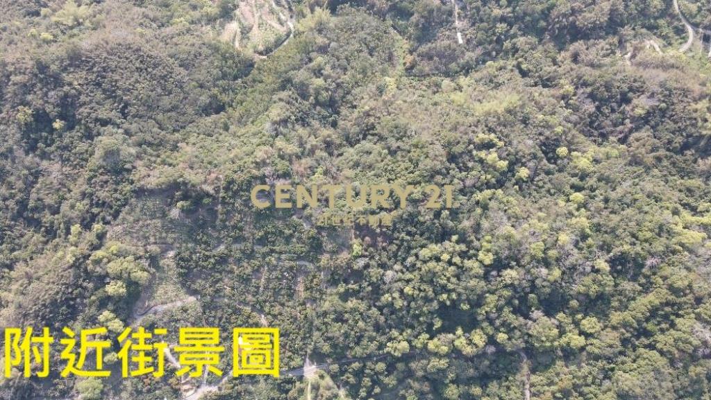 中寮土地-中寮爽文國小旁農地