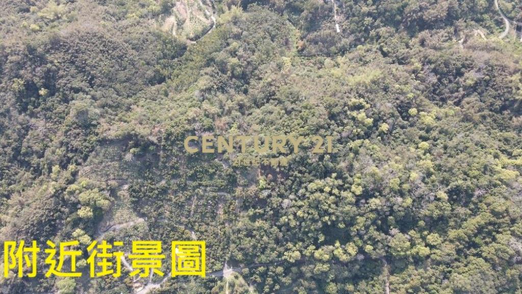 中寮土地-中寮爽文國小旁農地