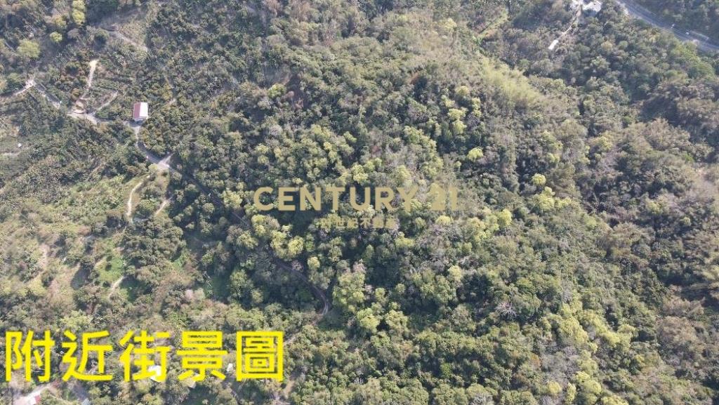 中寮土地-中寮爽文國小旁農地