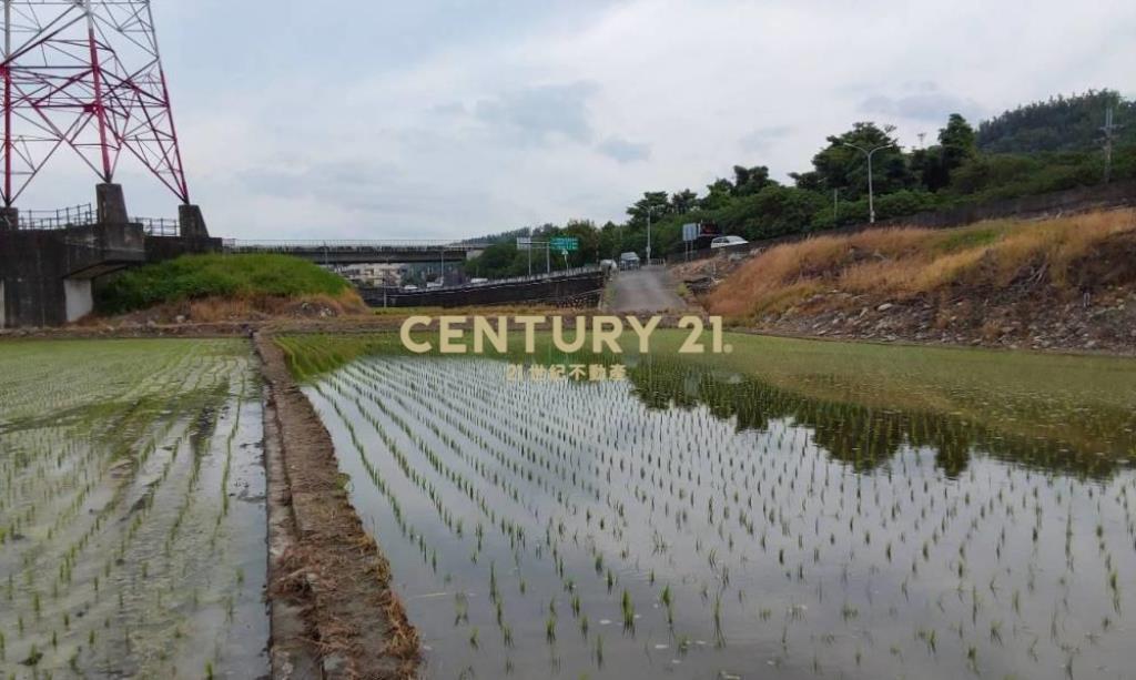 台中土地-中正路旁豐正段369坪農地