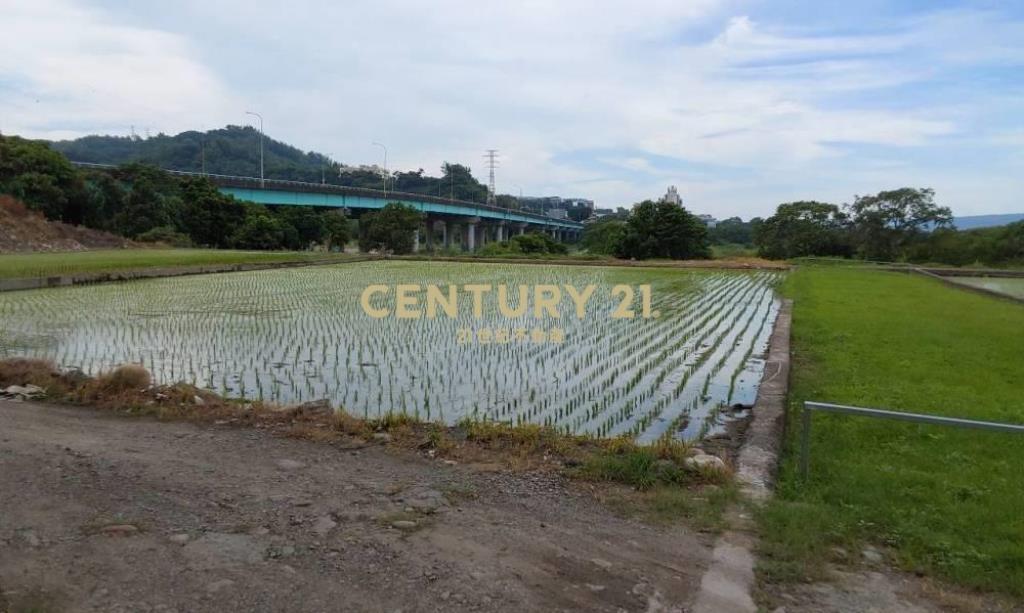 台中土地-中正路旁豐正段369坪農地