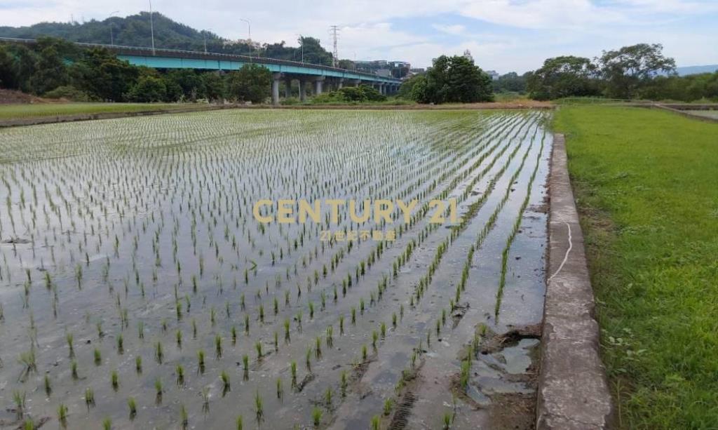 台中土地-中正路旁豐正段369坪農地