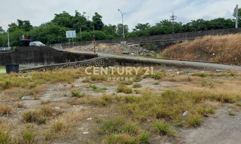 台中土地-中正路旁豐正段369坪農地