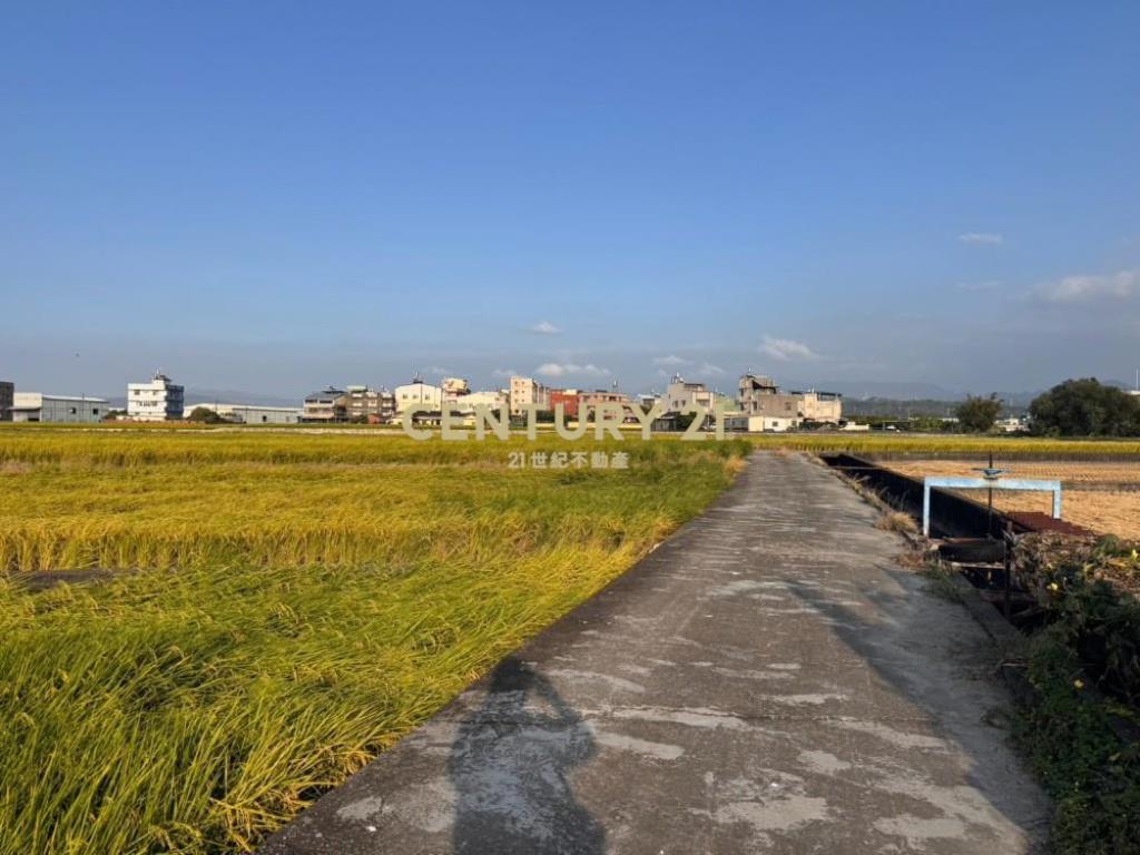 霧峰北豐路旁1946坪傳承農地