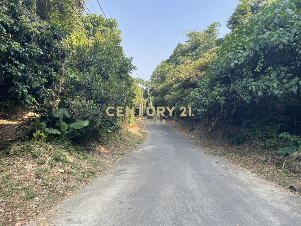 花壇虎山岩旁農地