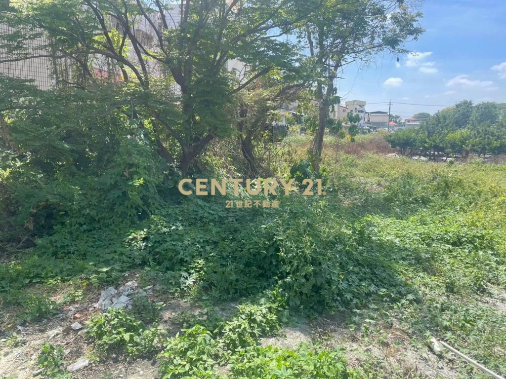 田中中正路建地