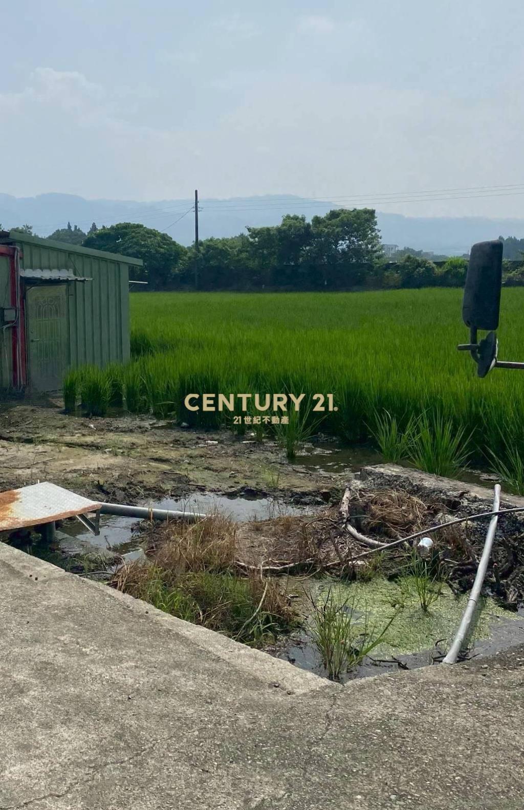 社頭新雅段美田