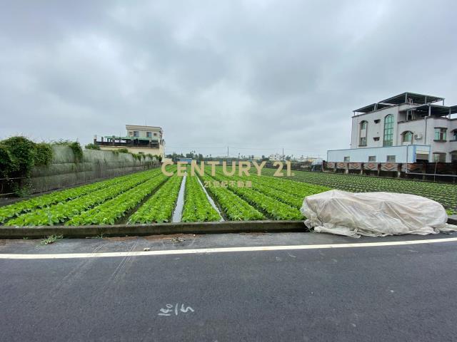 永靖永社路旁美田