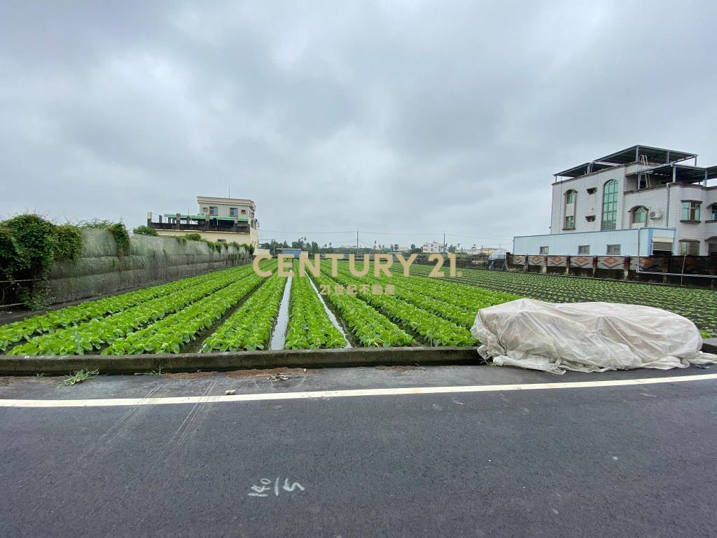 永靖永社路旁美田