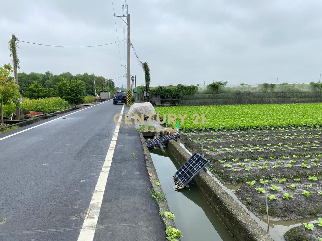 永靖永社路旁美田