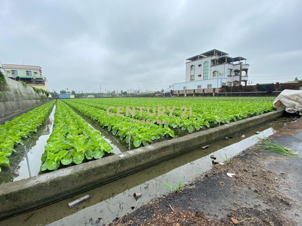 永靖永社路旁美田