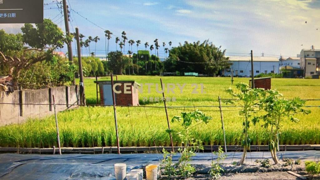 埔心全聯旁都計田