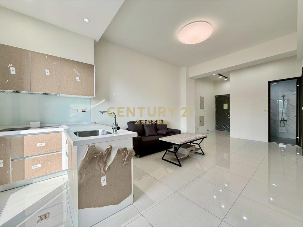 員林享薪家3房+平車