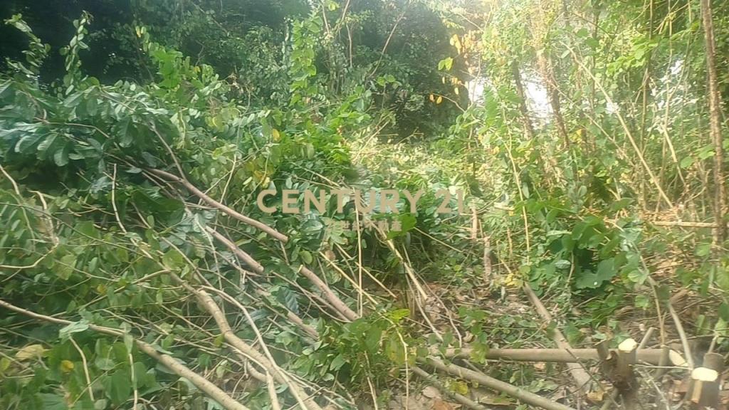 員林東區超低總價建地