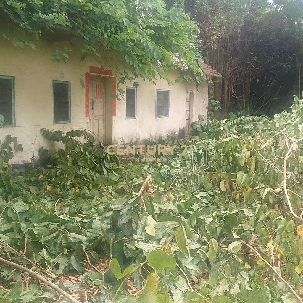 員林東區超低總價建地