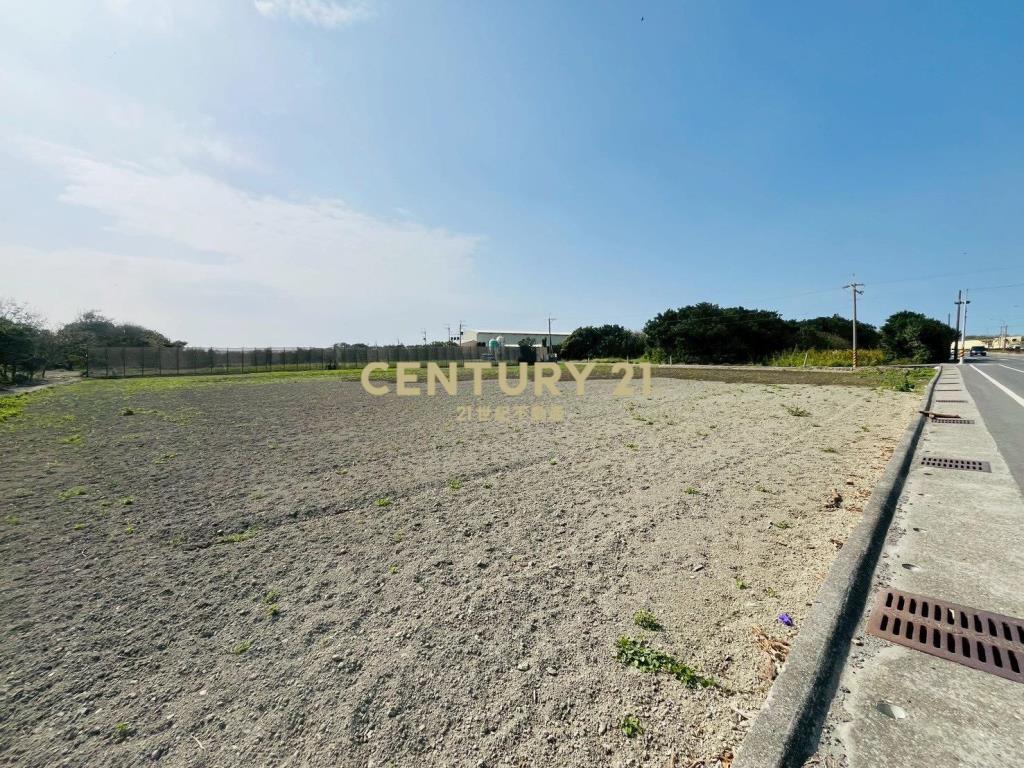 芳苑功湖路美農地(1)