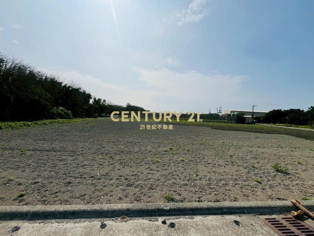 芳苑功湖路美農地(1)