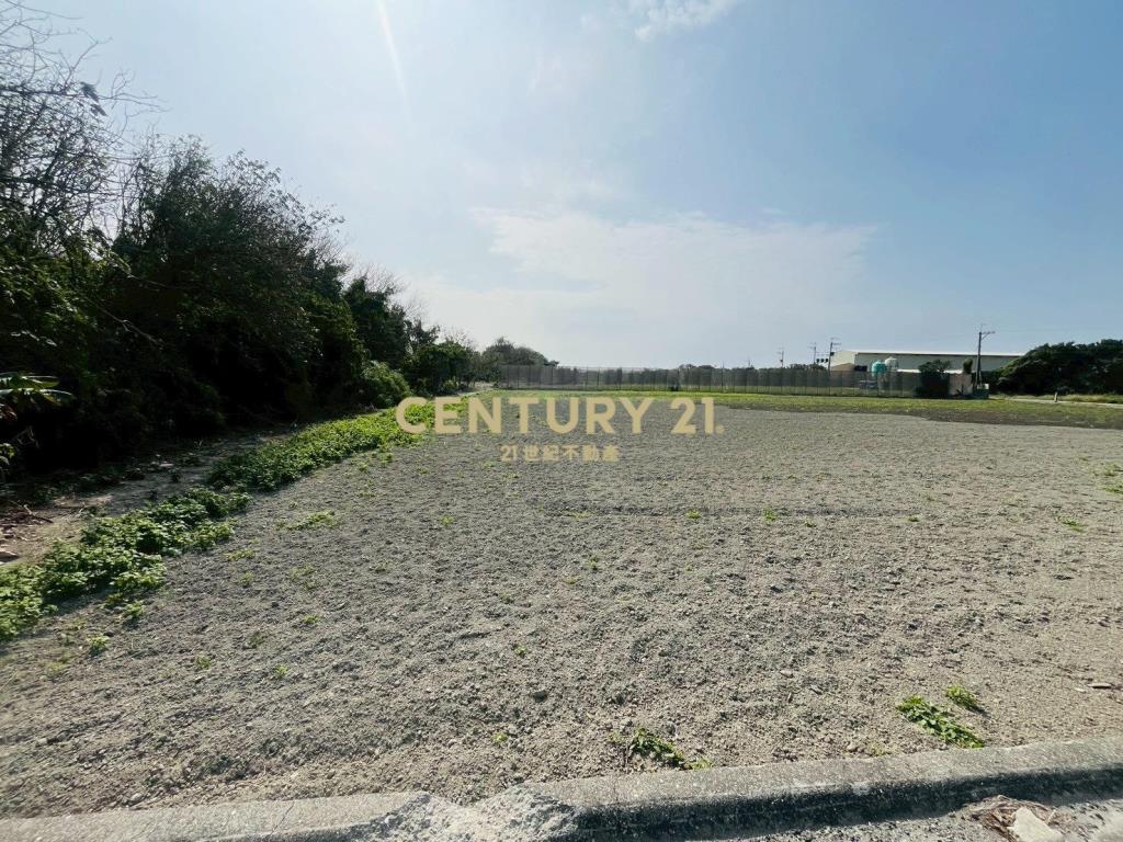 芳苑功湖路美農地(1)