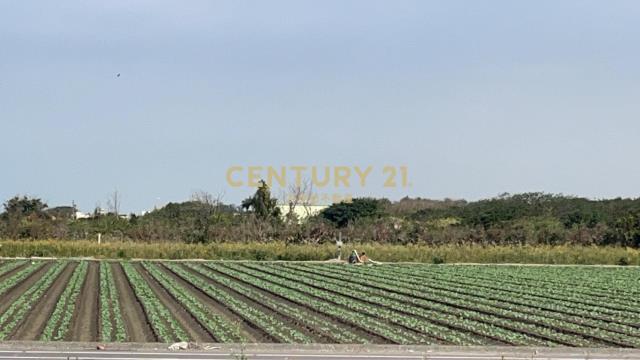 芳苑功湖路美農地(2)
