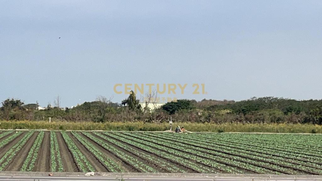 芳苑功湖路美農地(2)