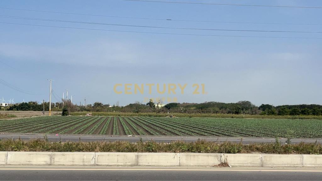 芳苑功湖路美農地(2)